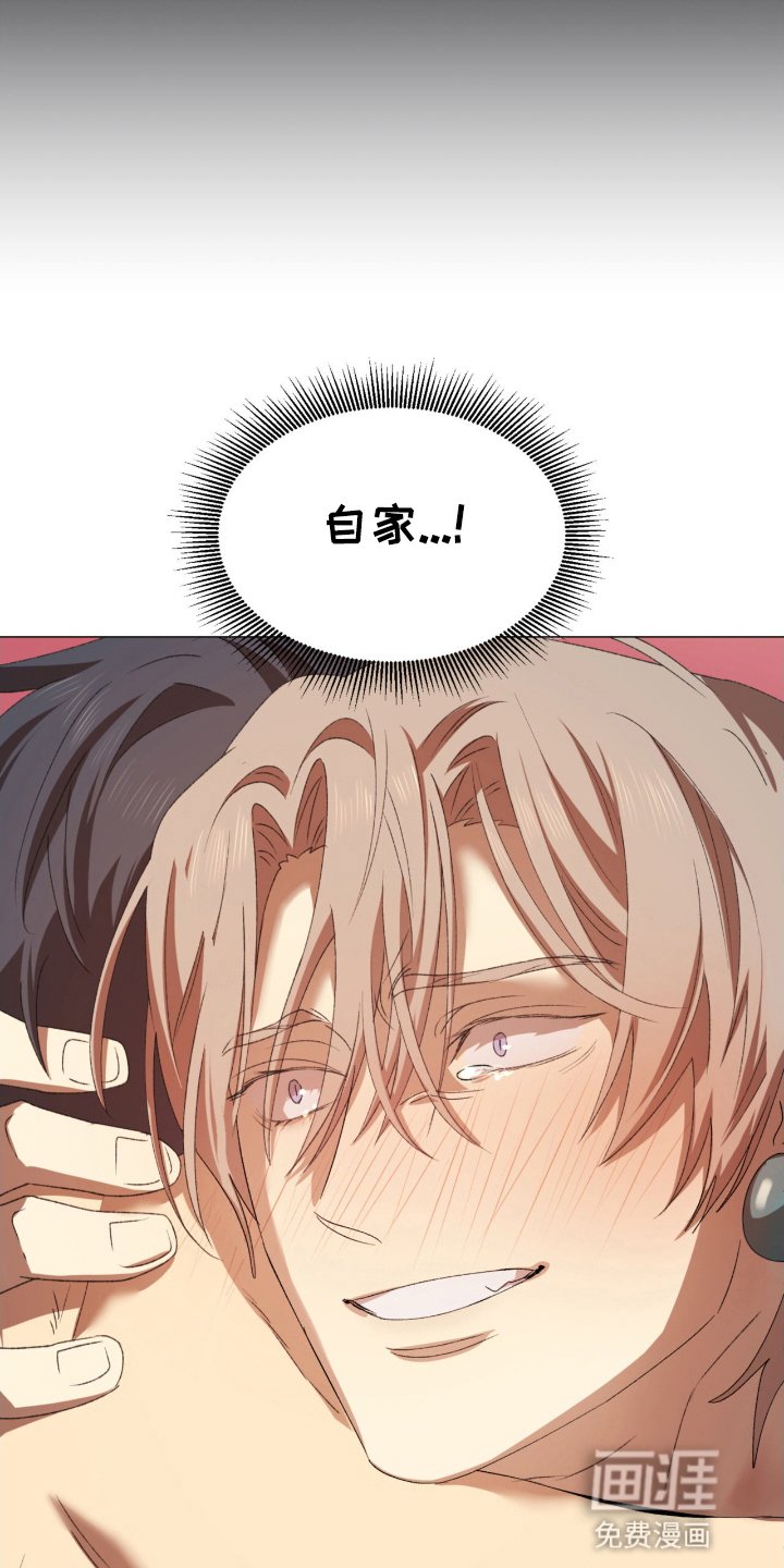 第14章：选择了他