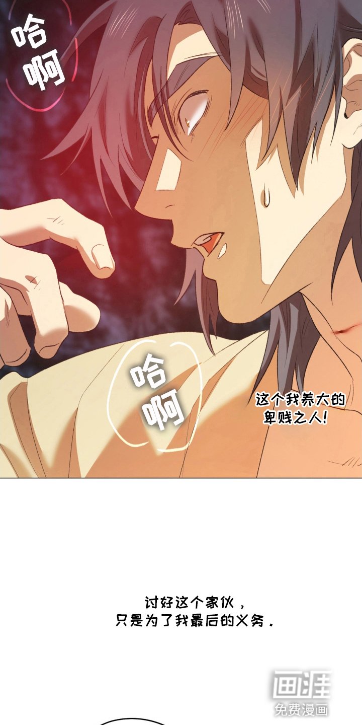 第7章：最后的义务