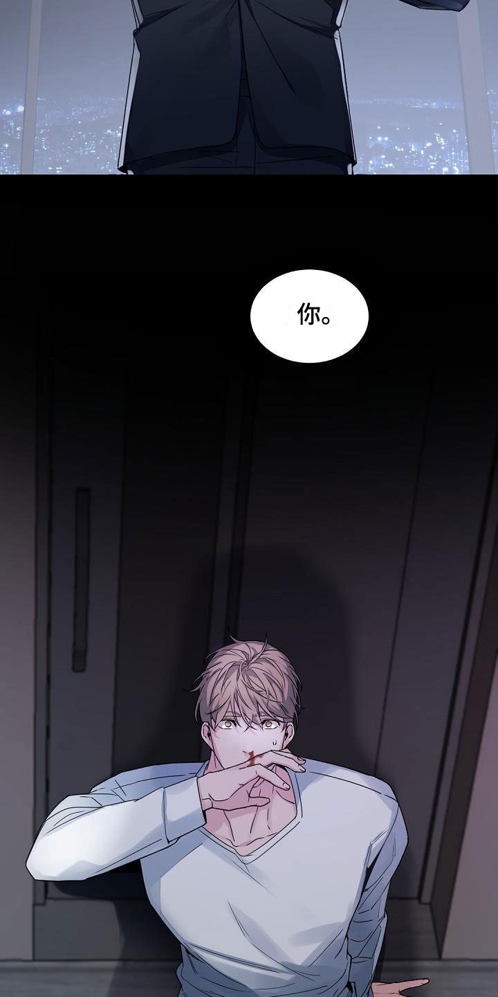 第1章：老板的宝贝：完美情人节