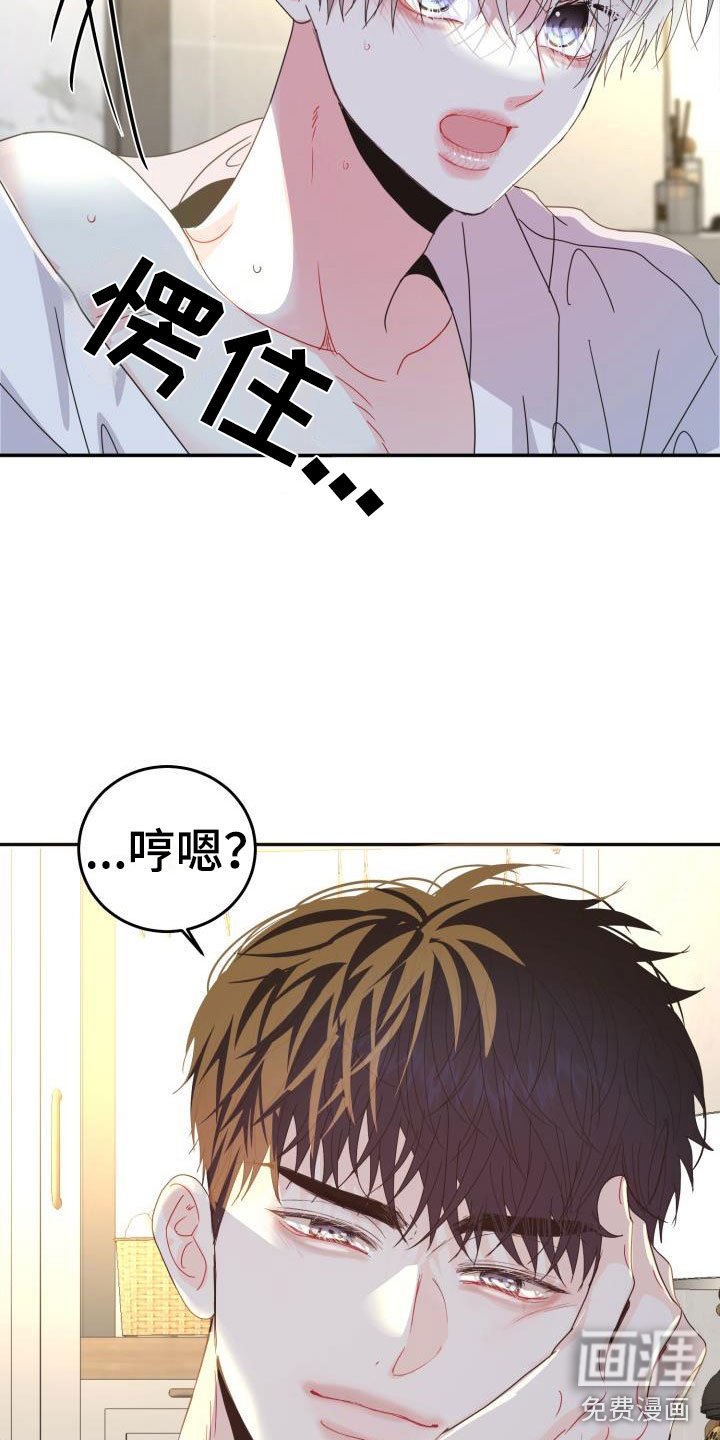 第12章：再次相爱：小小的手