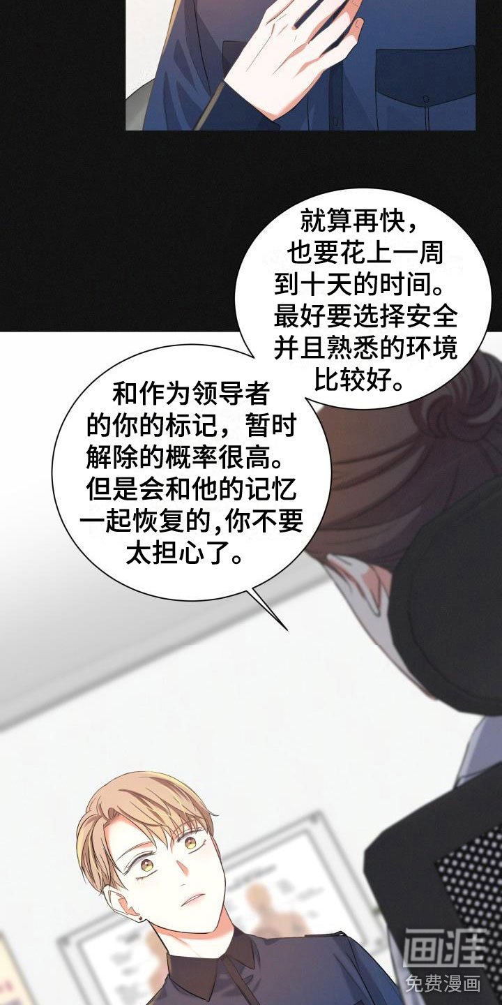 第22章：热烈引导：失忆