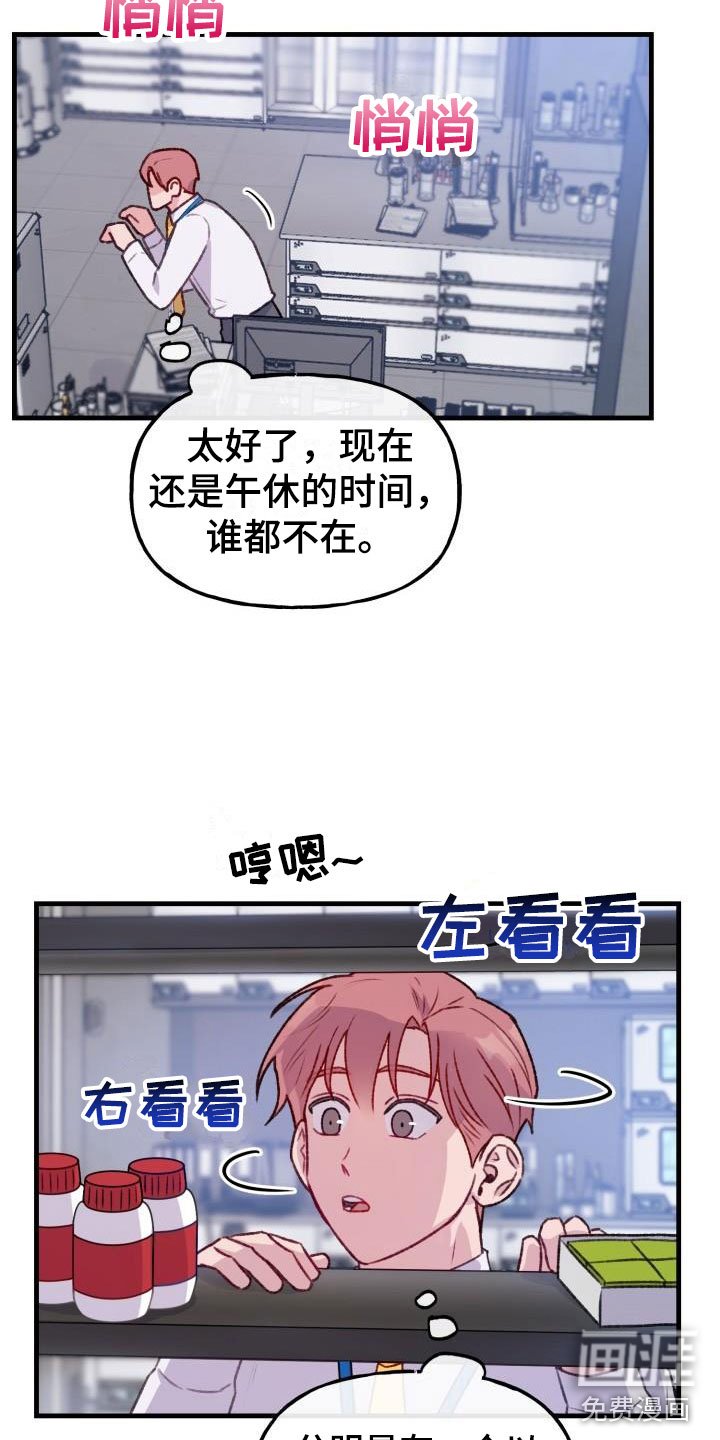 第24章：危险捕捉：秘药巧克力