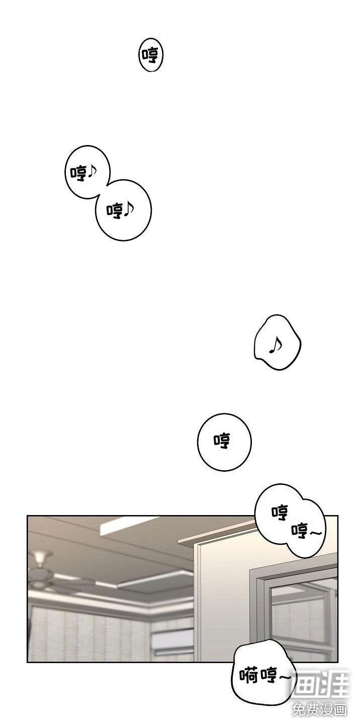 第45章：惊喜