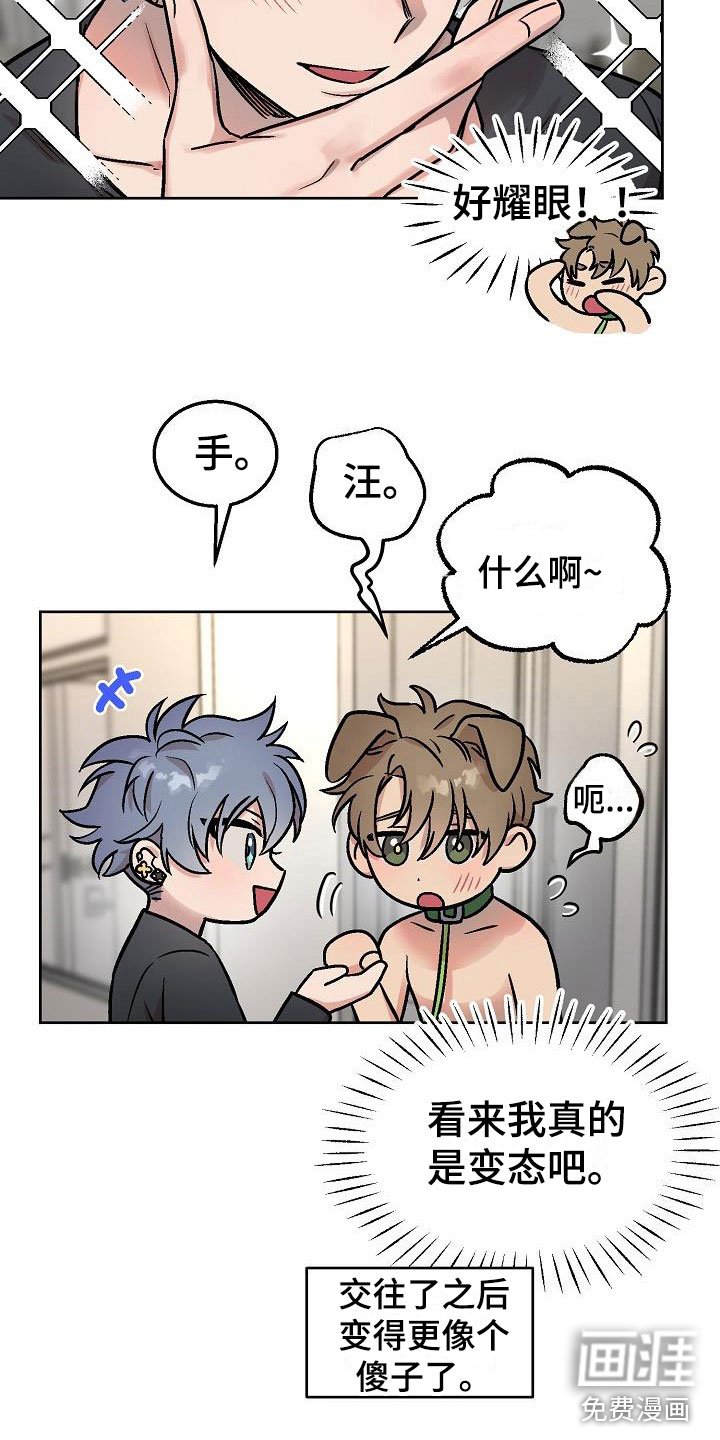 第45章：惊喜