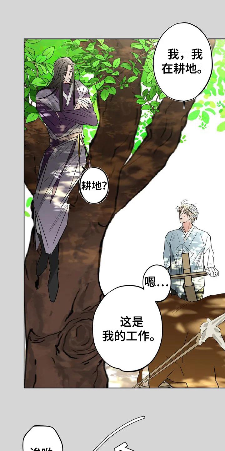 第2章：一见钟情