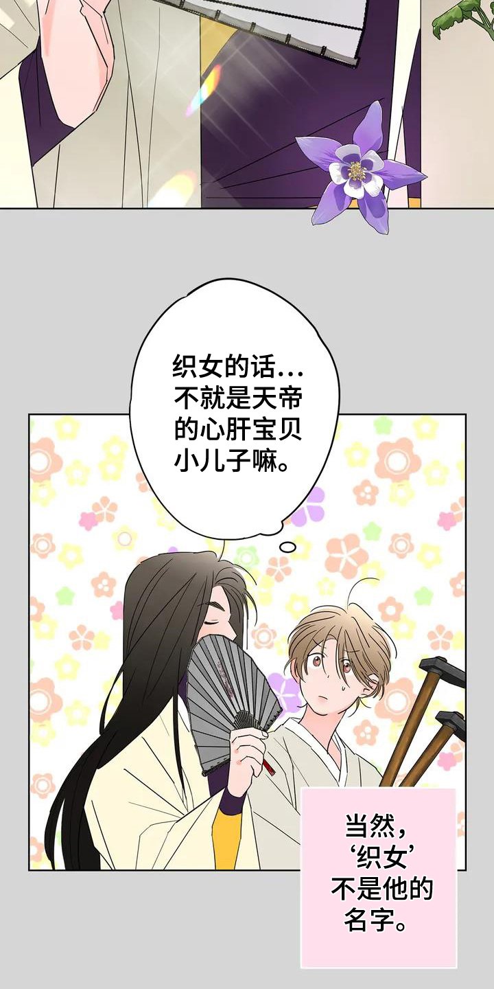 第2章：一见钟情