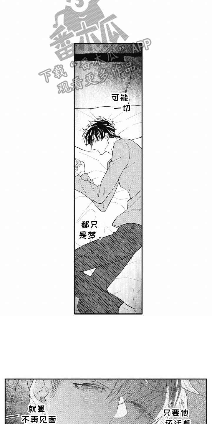 第15章：像梦一般