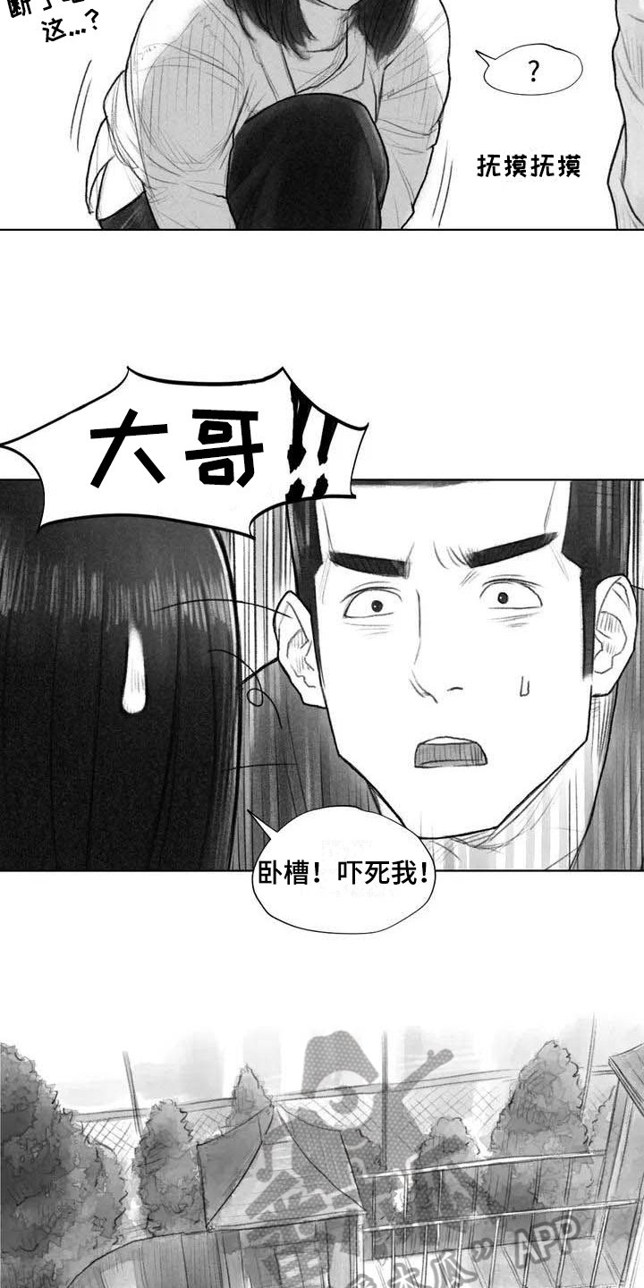 第17章：深刻