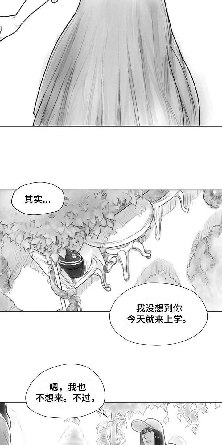 第29章：回校
