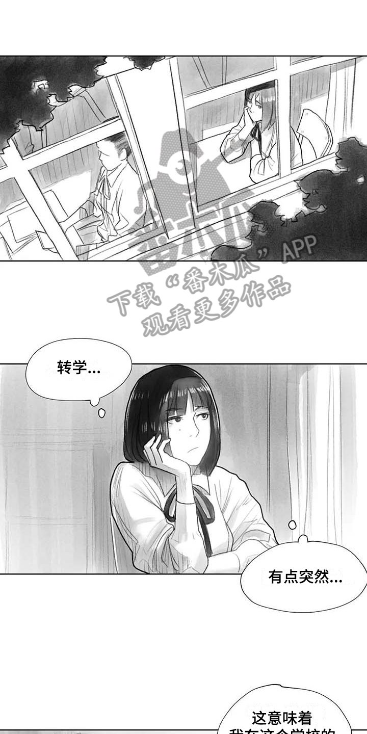 第36章：在意