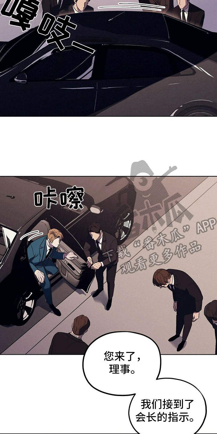第13章：代表理事