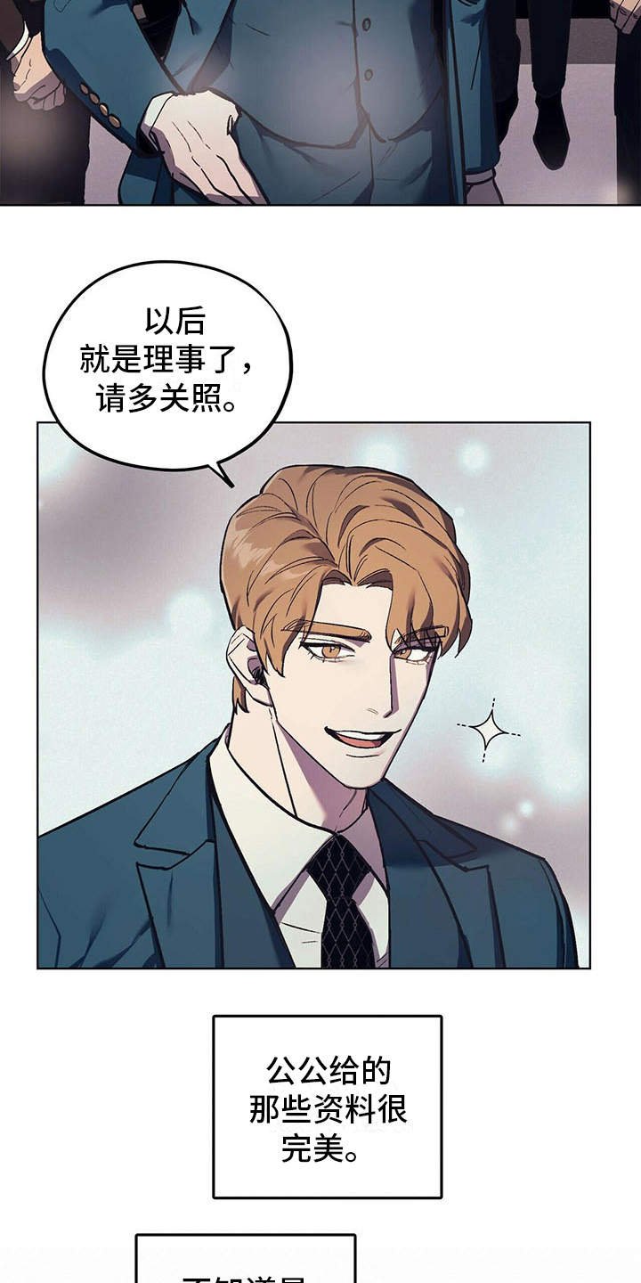 第13章：代表理事