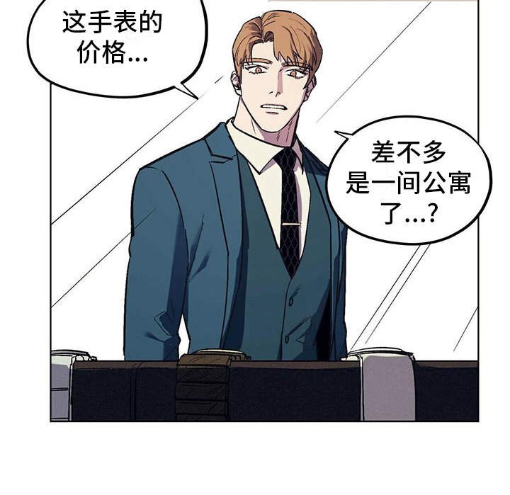 第13章：代表理事