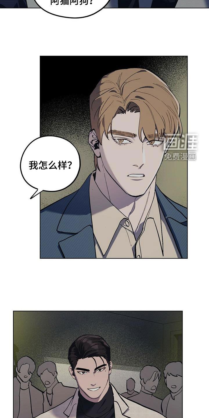 第37章：寻花问柳