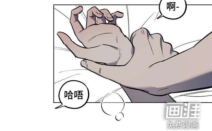 第37章：寻花问柳