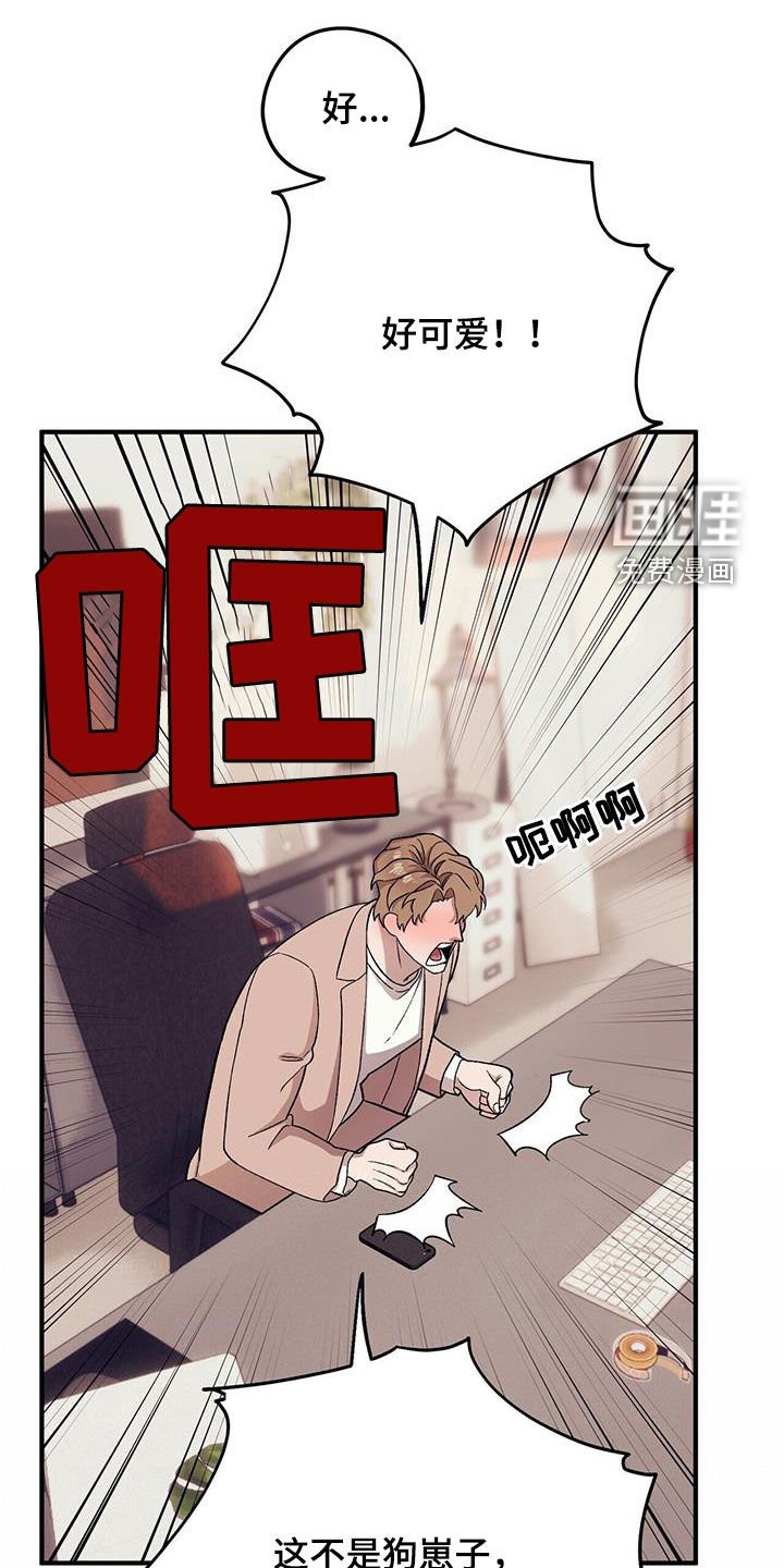 第88章：【第二季】倒大霉