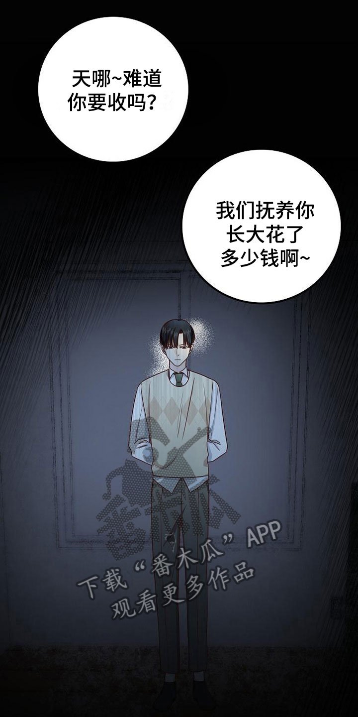 第11章：过去的日子