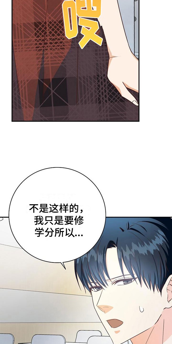 第13章：小组课题