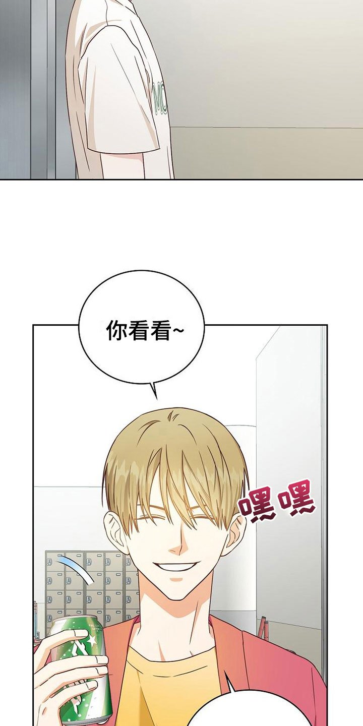 第20章：理想型