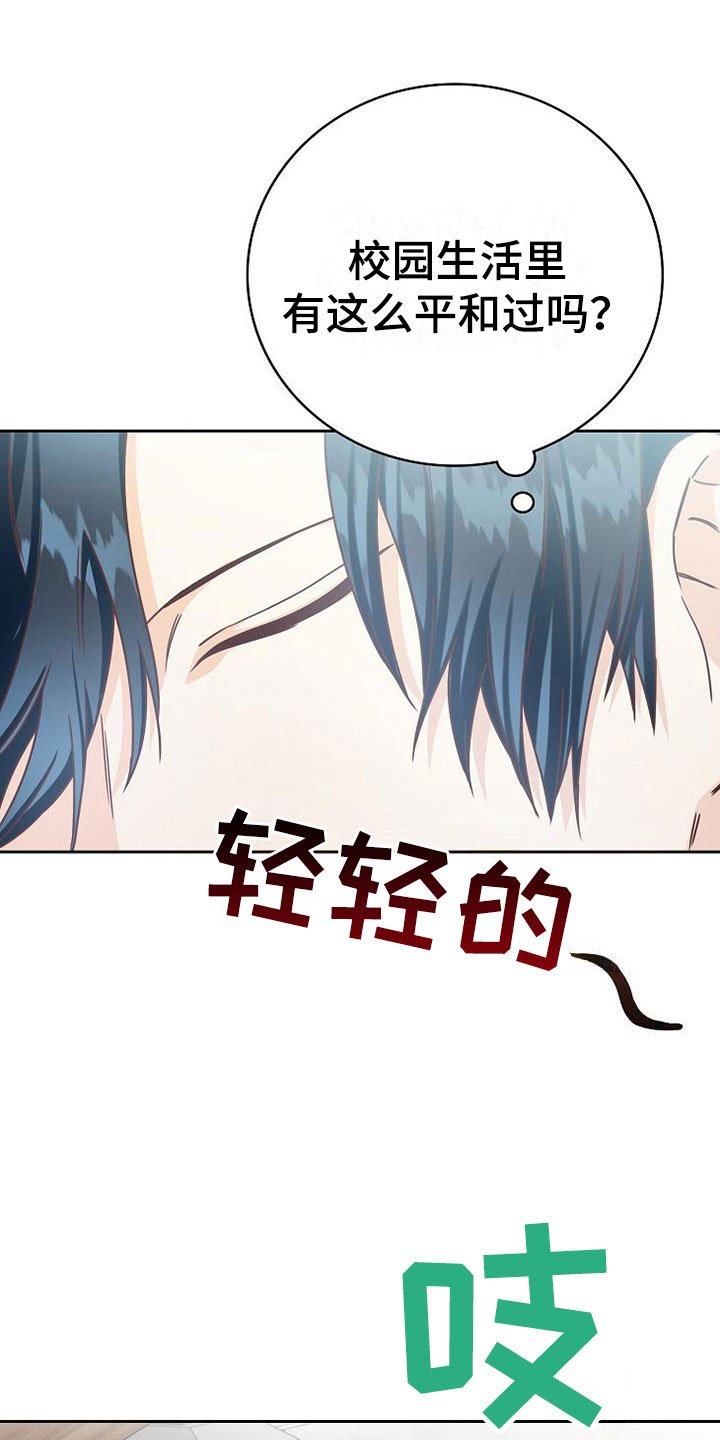 第20章：理想型