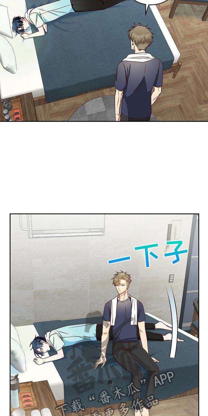 第20章：理想型