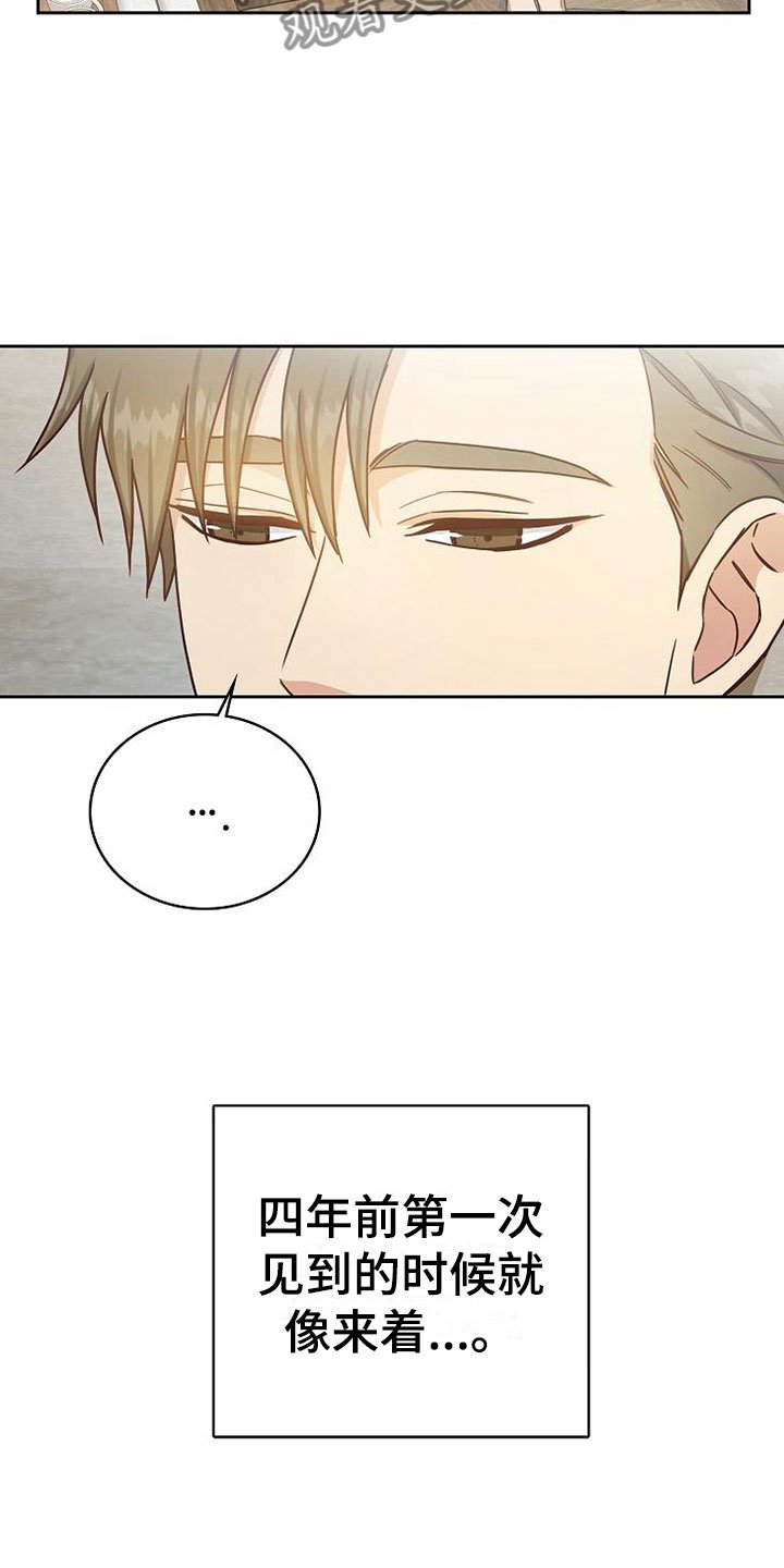 第20章：理想型