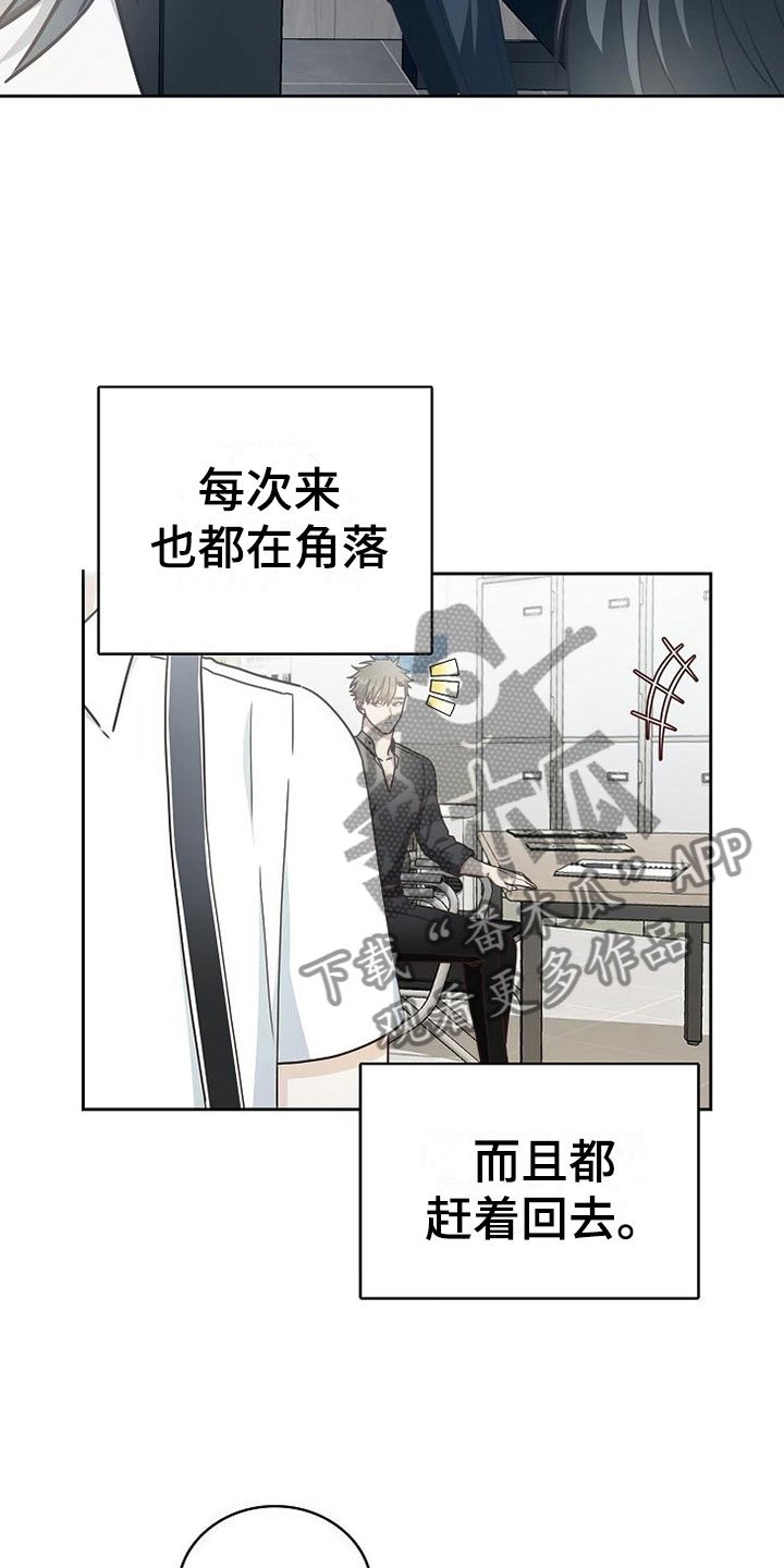 第20章：理想型