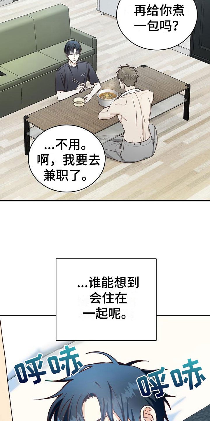 第20章：理想型