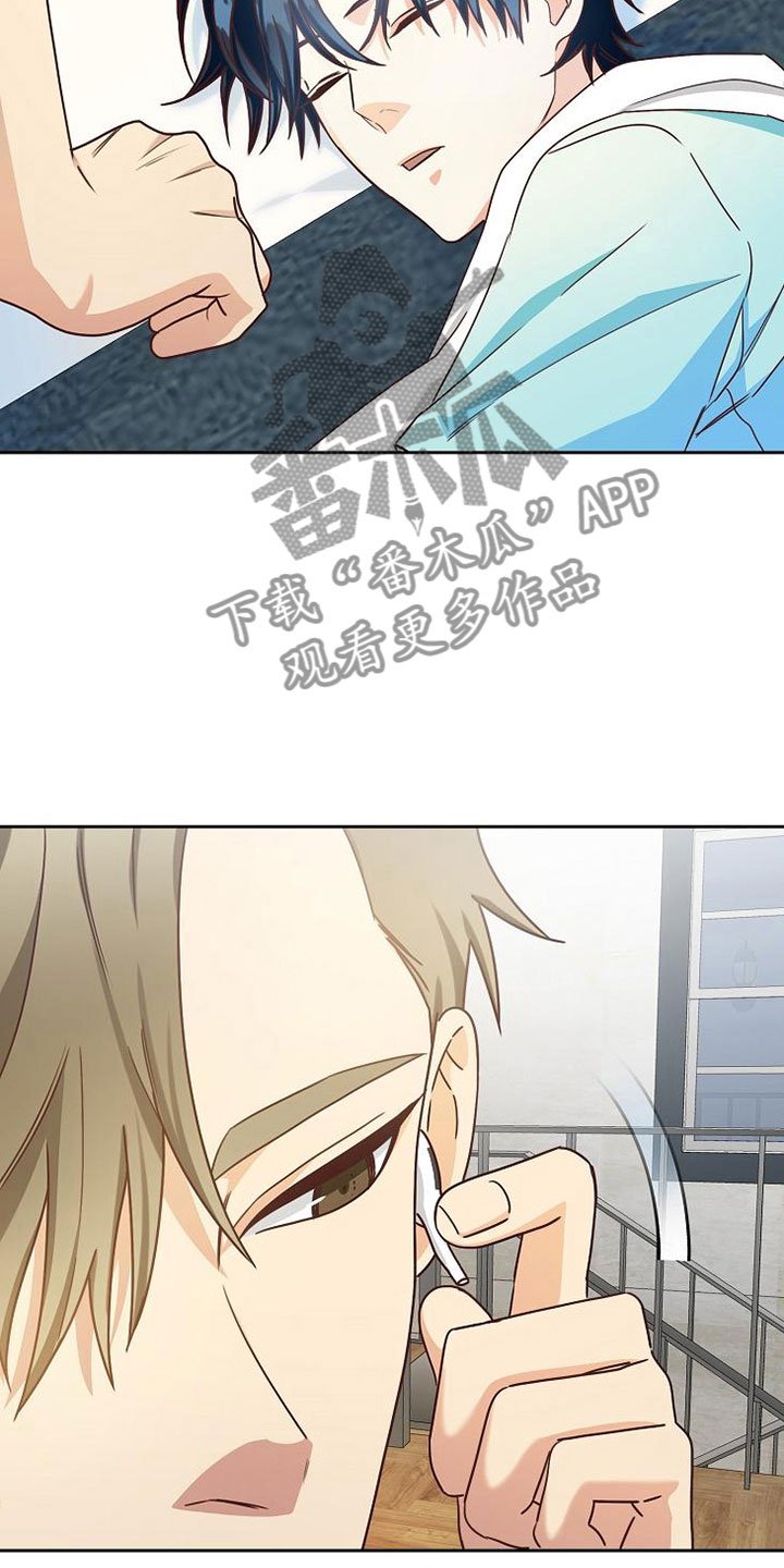 第20章：理想型