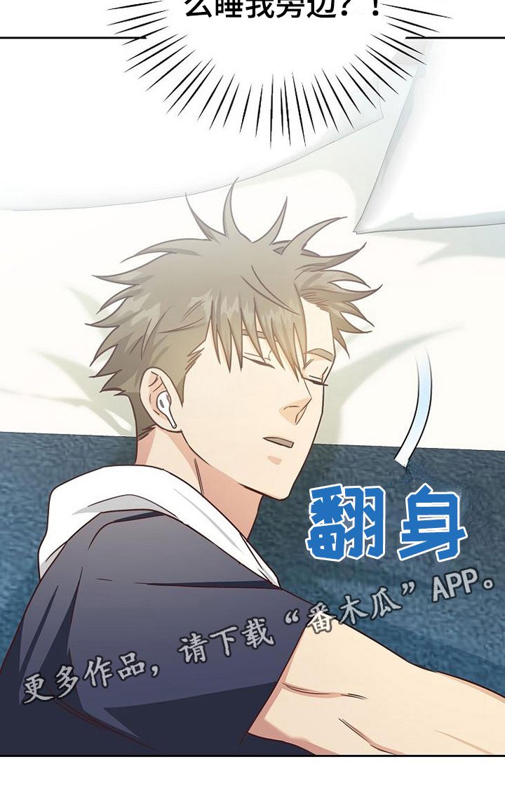 第20章：理想型