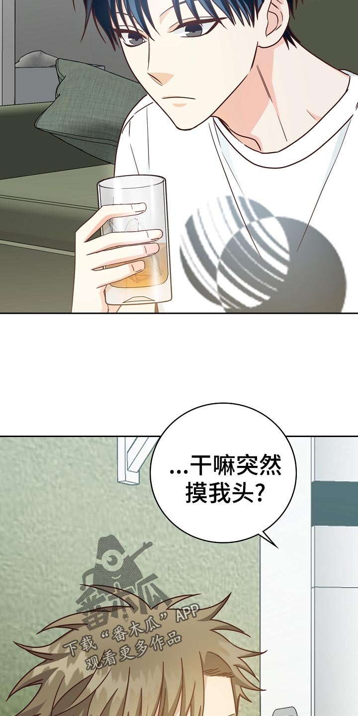 第26章：琐事