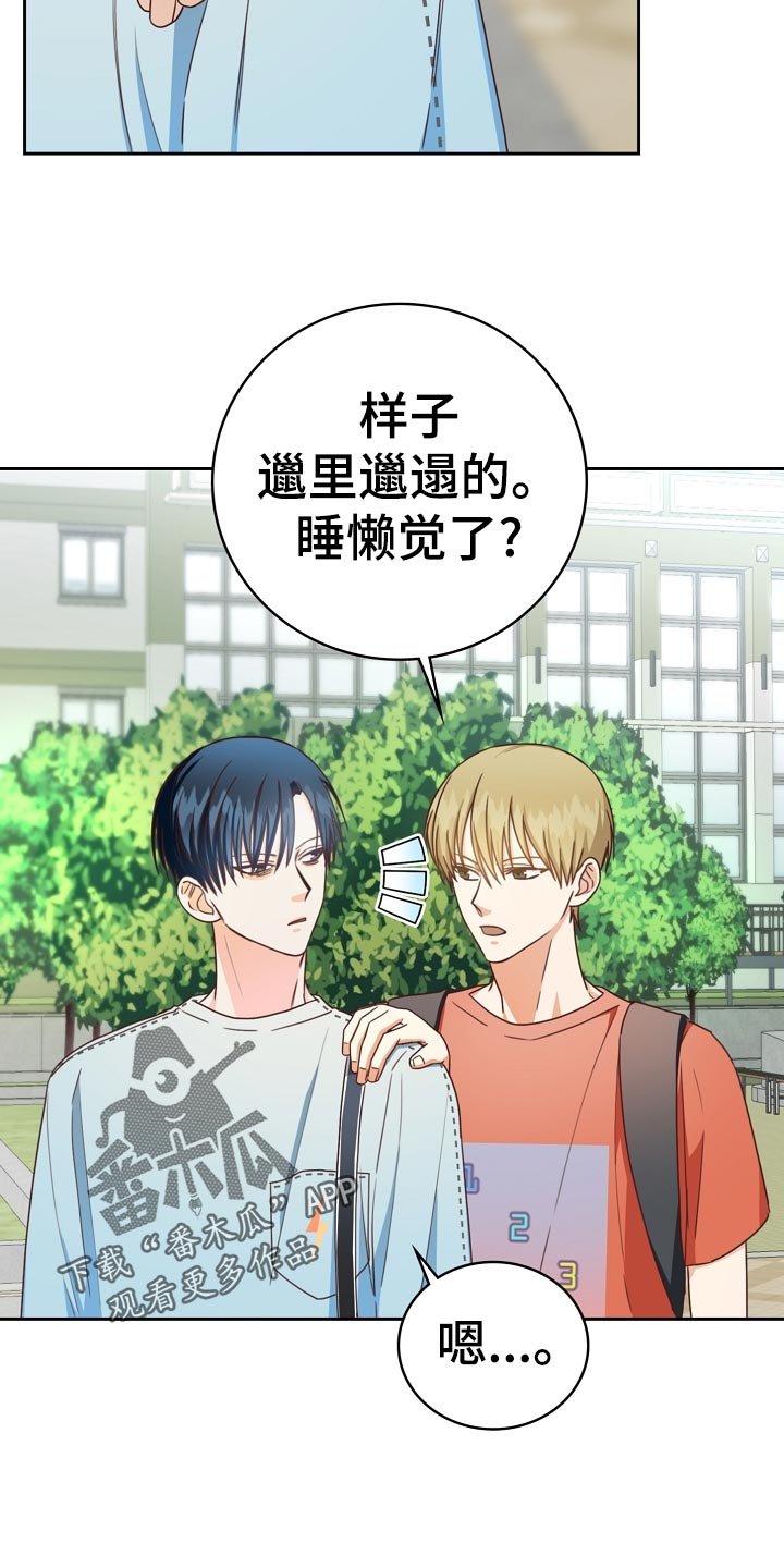 第27章：理想型