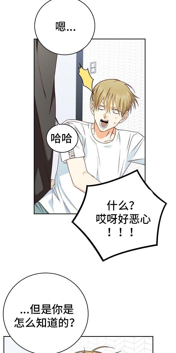 第37章：电影