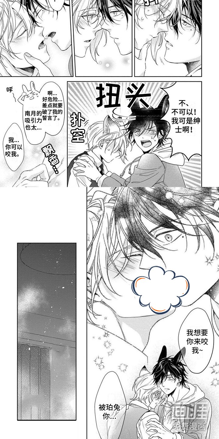 第14章：表白