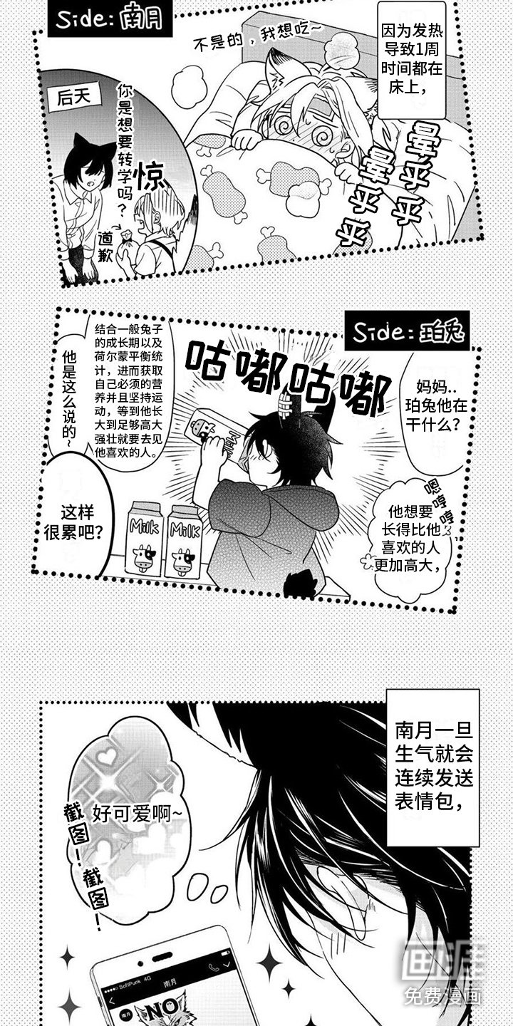 第15章：十分美味（完结）