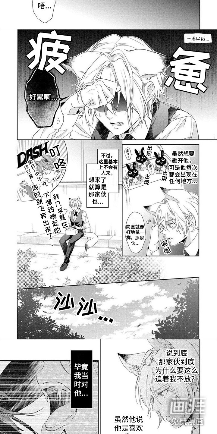 第4章：棒棒糖