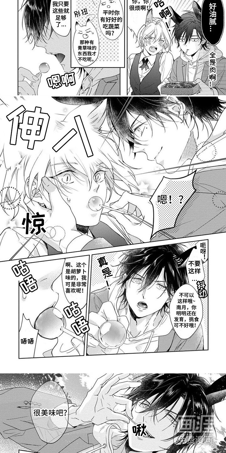 第4章：棒棒糖
