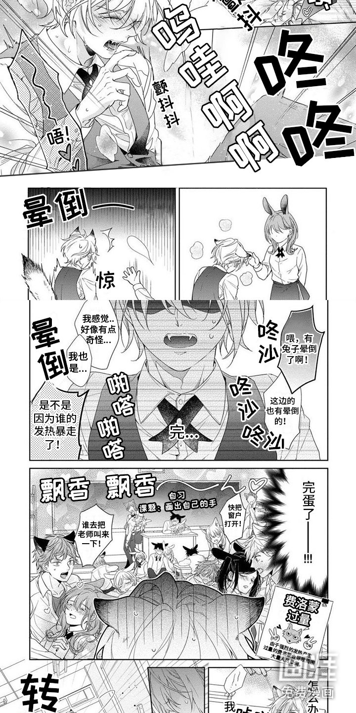 第5章：荷尔蒙