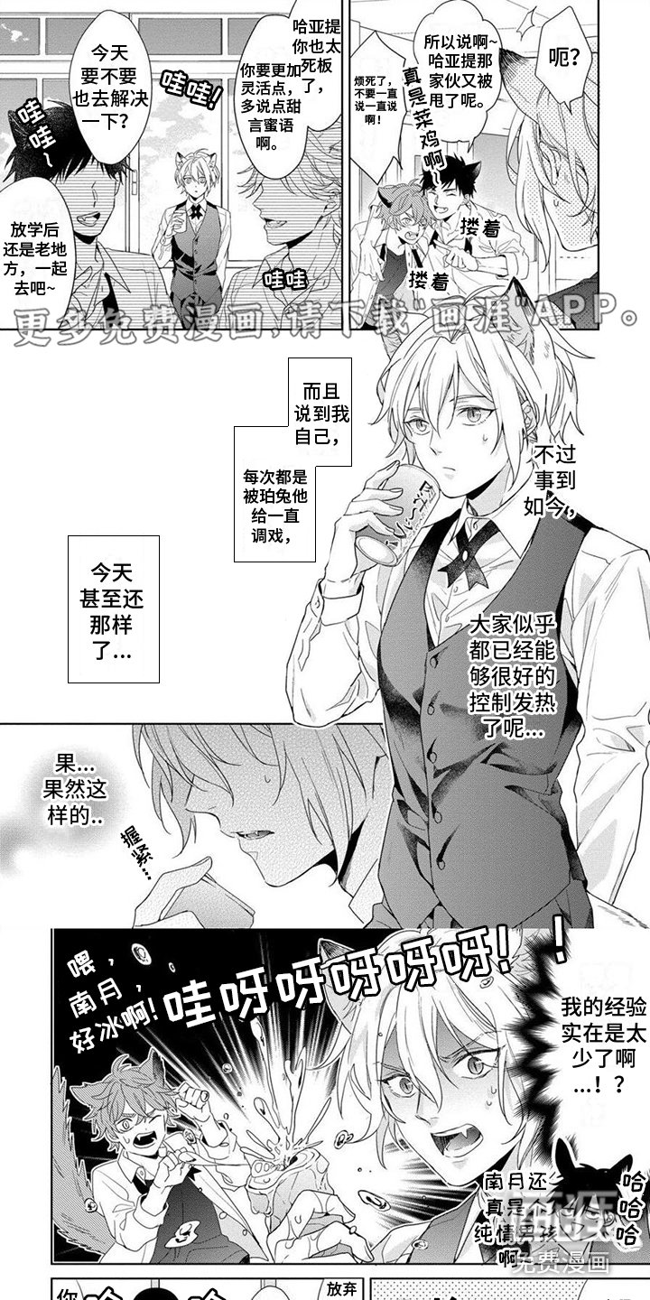 第7章：特殊训练