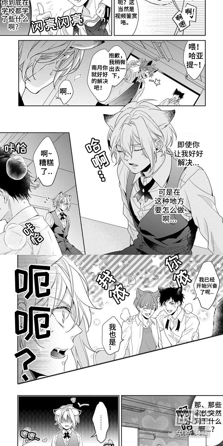 第7章：特殊训练