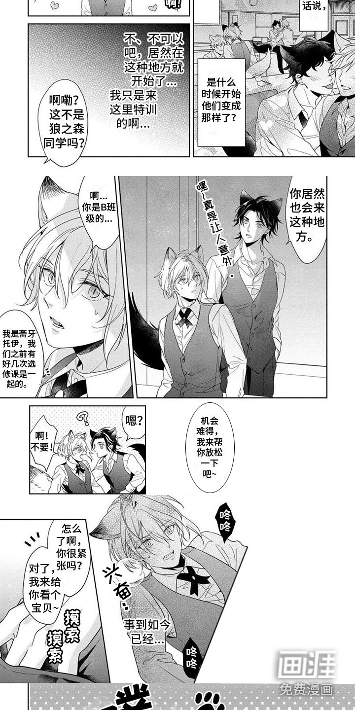 第7章：特殊训练