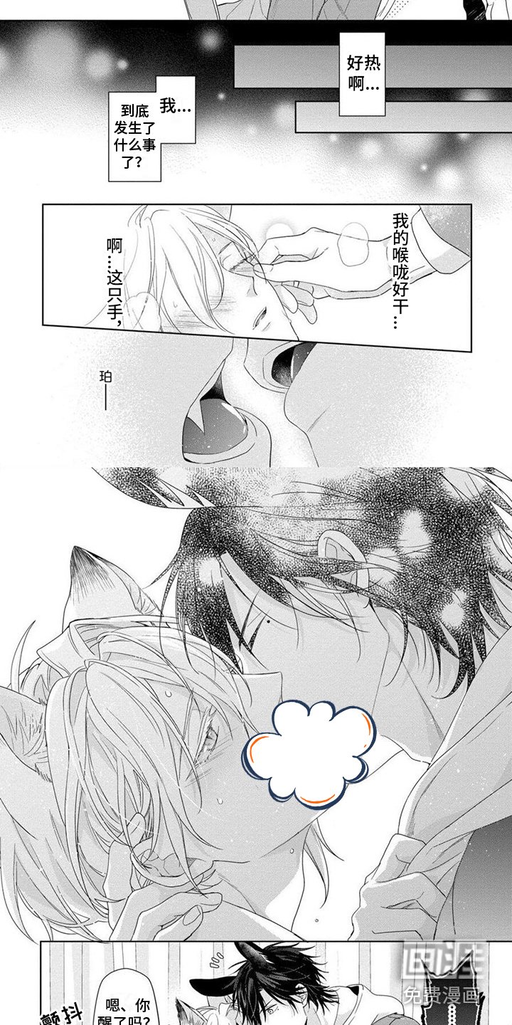 第8章： 发火
