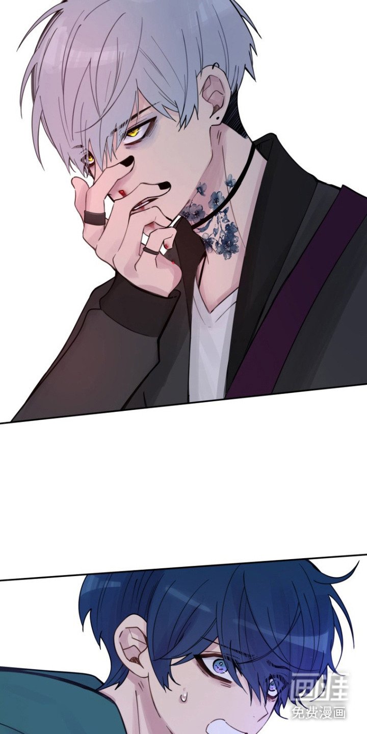 第13章：装的