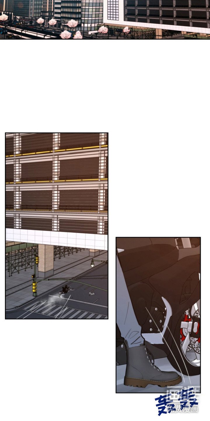 第13章：装的