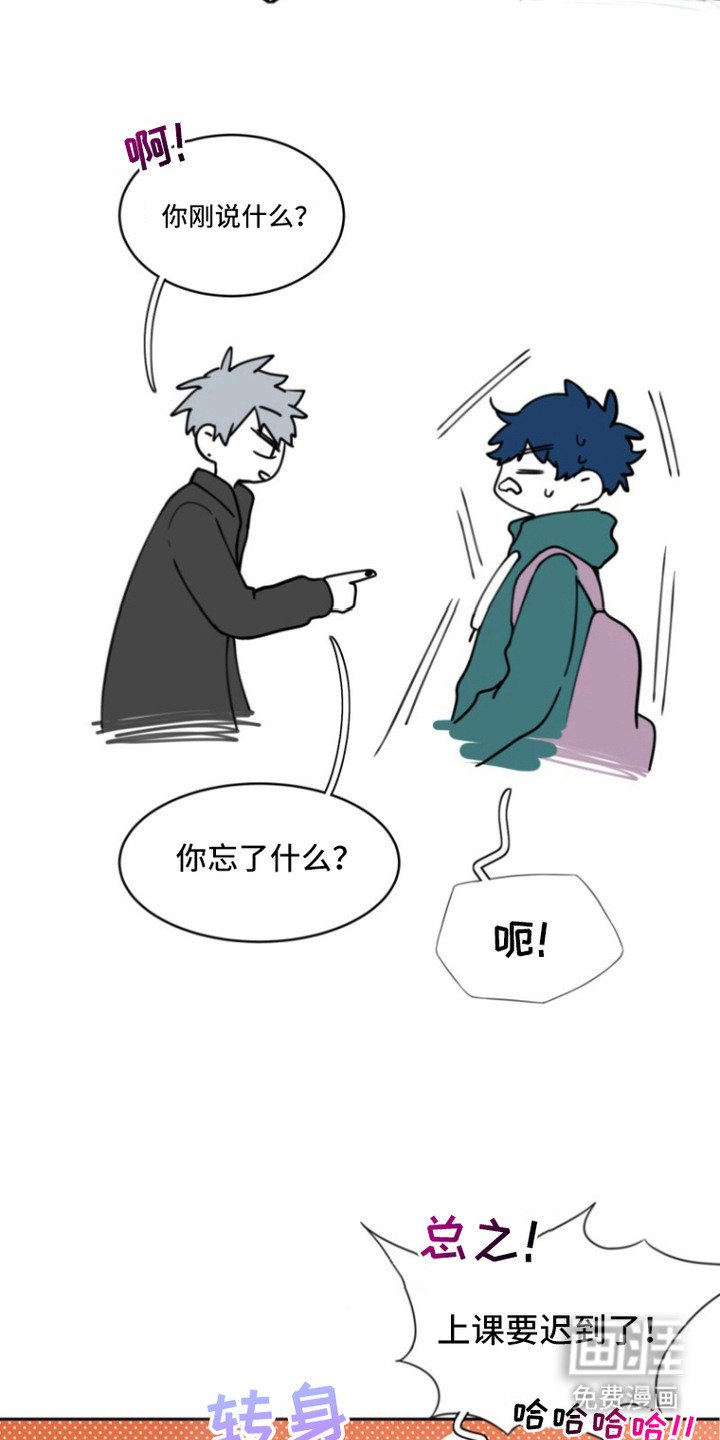 第14章：拍照