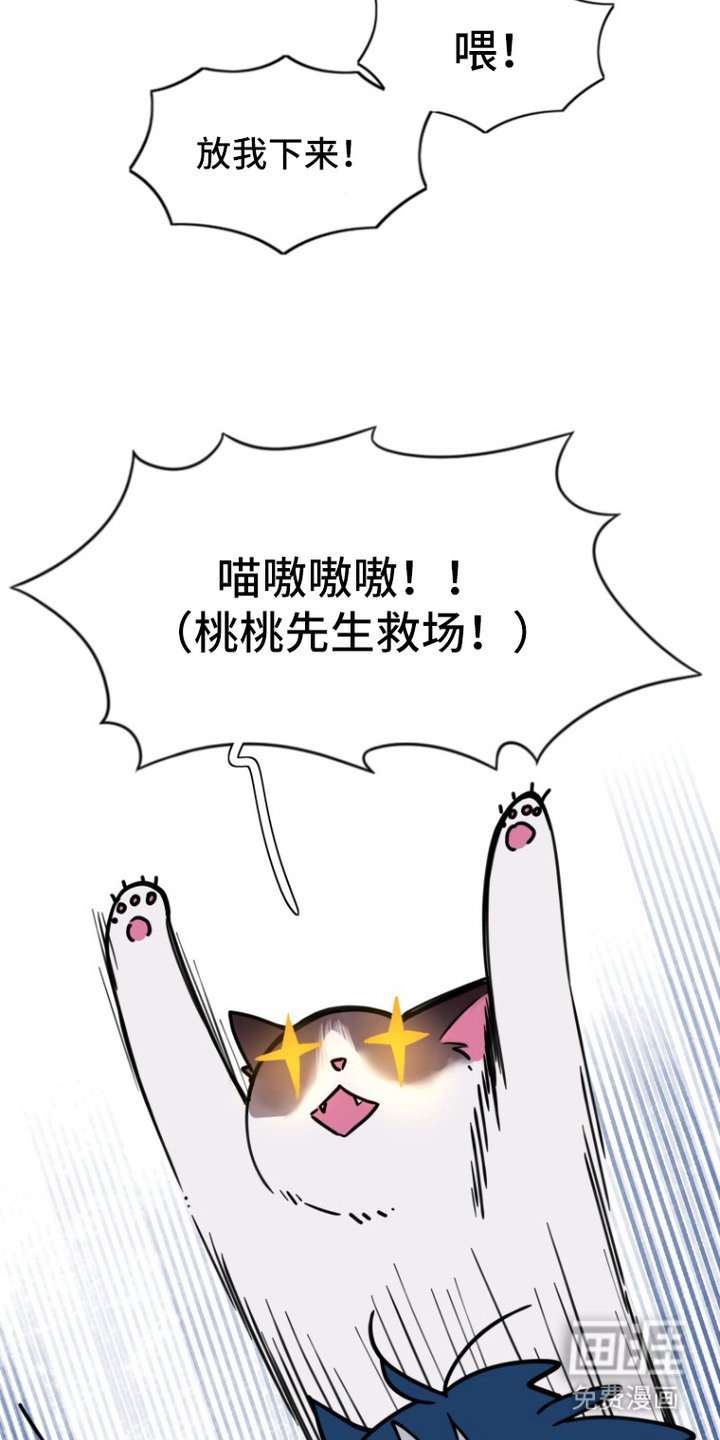 第14章：拍照
