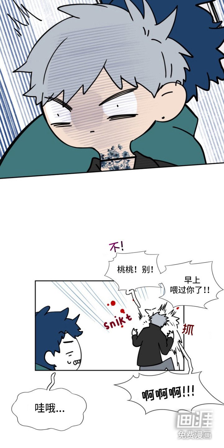 第14章：拍照