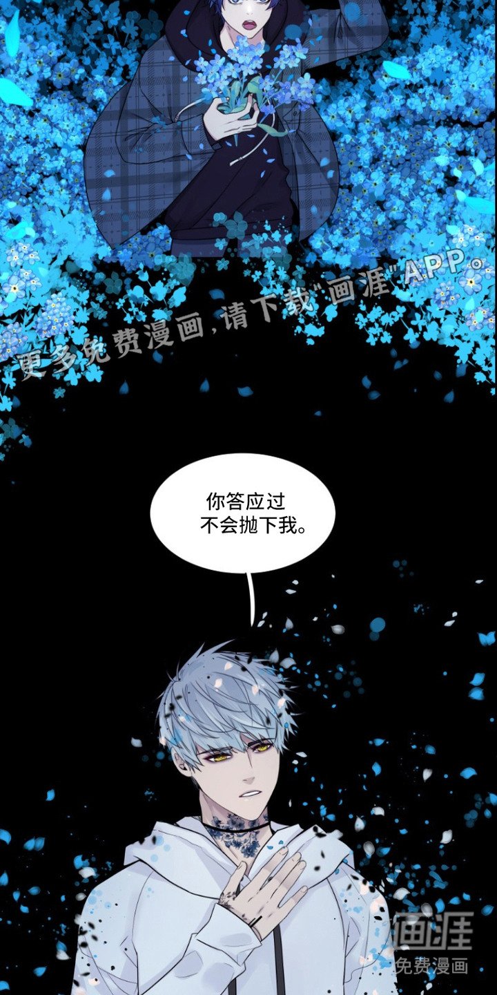 第2章：记不清了