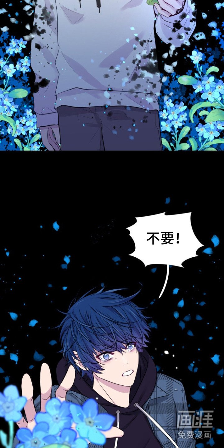 第2章：记不清了