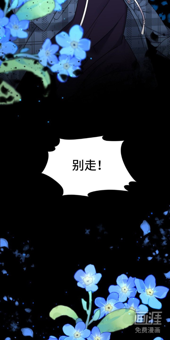 第2章：记不清了